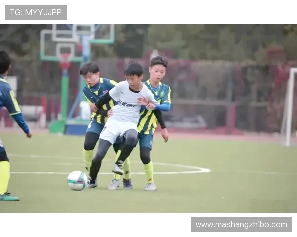 八零后青春足球明星的成长之路与辉煌成就回顾