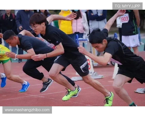 成都篮球队在锦标赛中的实力分析与表现点评全景回顾