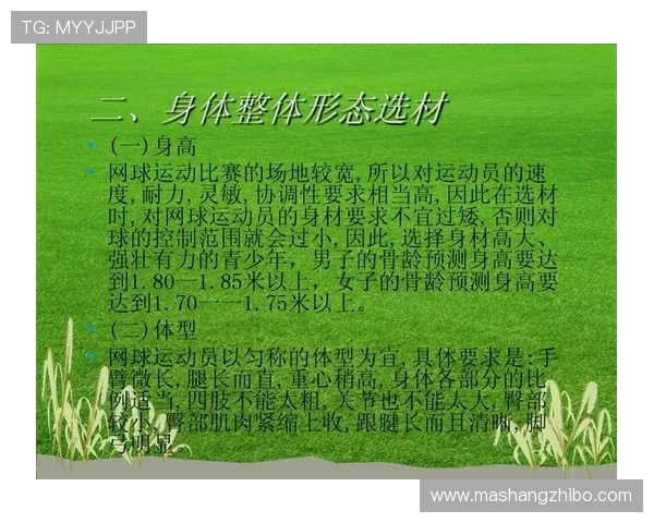 杭州网球队耐力训练的深度分析与提升策略探讨